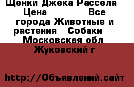 Щенки Джека Рассела › Цена ­ 10 000 - Все города Животные и растения » Собаки   . Московская обл.,Жуковский г.